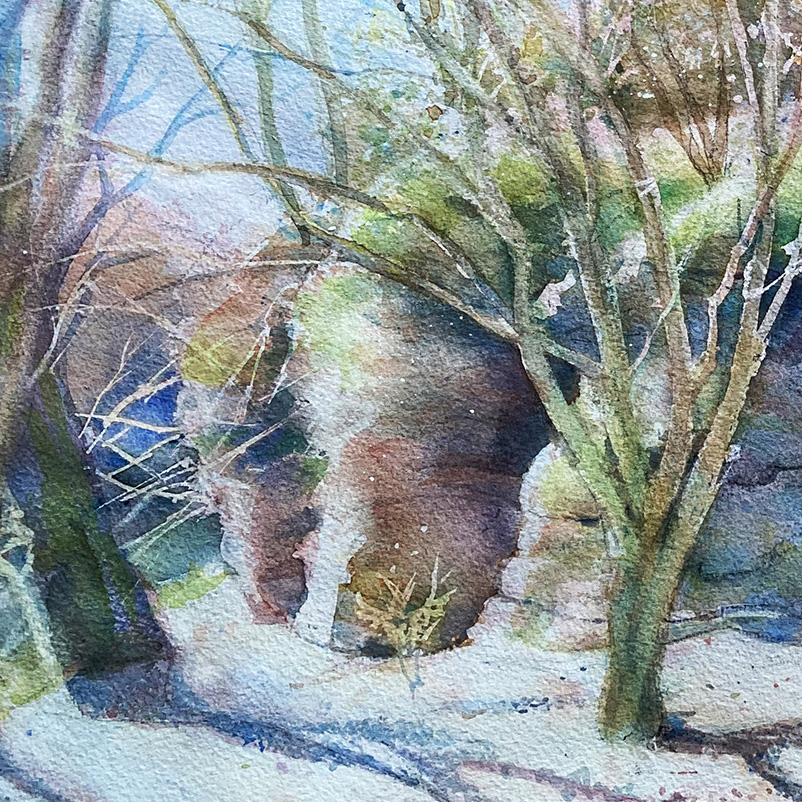 Schwarzachschlucht I