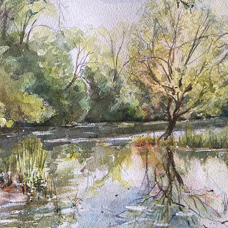 Naturschutzgebiet Röthlein