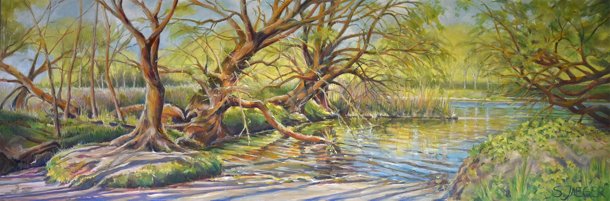 Uferlandschaft im Querformat