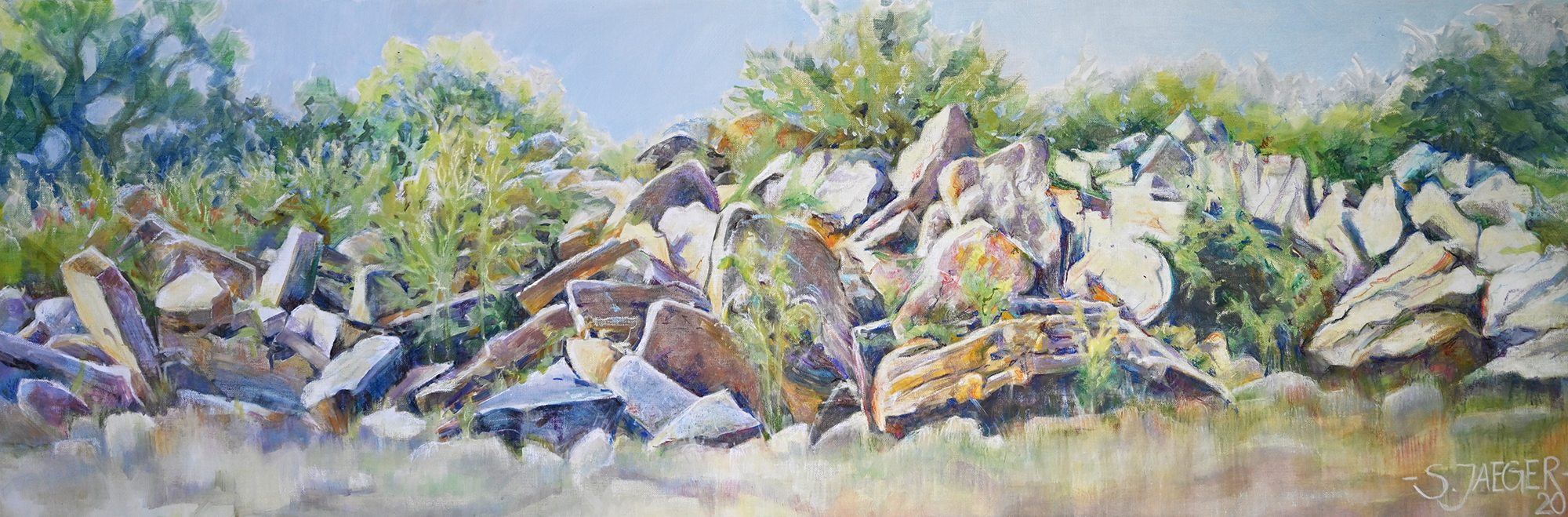 Überwucherte Steinlandschaft im Querformat